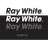 RAY-W emblem