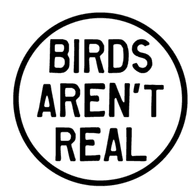 DRONZ emblem