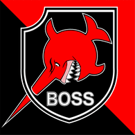 B-OSS emblem