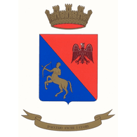 131 emblem