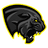T_P_P emblem