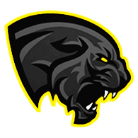 T_P_P emblem