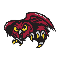 OWLS emblem