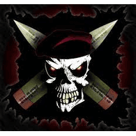 DAR_S emblem