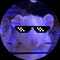 MRRAT emblem