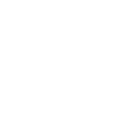 PZED emblem