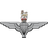 ERNYS emblem