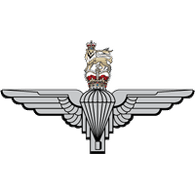 ERNYS emblem