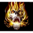 DKS17 emblem