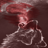 WFTM emblem