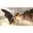A_N emblem