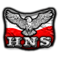 HNS emblem