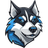 XASKI emblem
