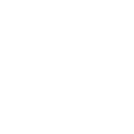 _O_ emblem