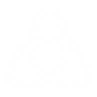 NSDPL emblem