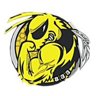 833 emblem