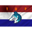 TDPNL emblem