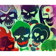 S_S emblem