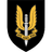 -TSAS emblem