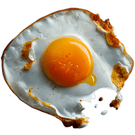 YAYKO emblem