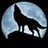 FIVI emblem