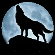 FIVI emblem