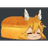 PIEK emblem