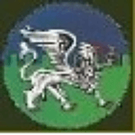 41NL emblem