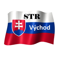 STR-V emblem
