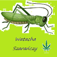 WT_SZ emblem
