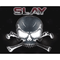 3XS emblem