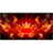 EXCR emblem