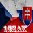 1CSAK emblem