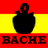 BACHE emblem