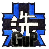 PZV0R emblem