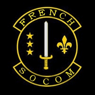 FSOC emblem