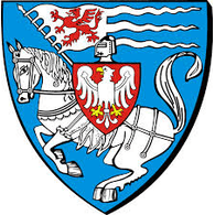 CS emblem
