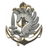 T_L_C emblem