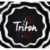 TR_IT emblem