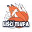 LTCZE emblem