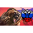 RUSK emblem