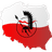 S_F_T emblem