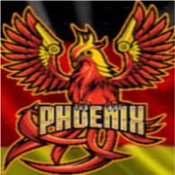 D_D-P emblem