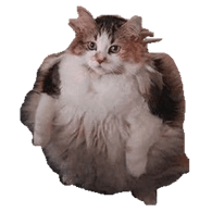 LOOPS emblem