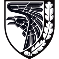 93UKR emblem