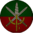 73CTP emblem