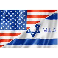 _IDF_ emblem