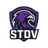 STDV_ emblem