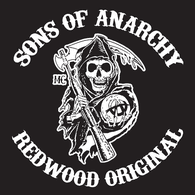 SOAH emblem