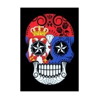BT6 emblem